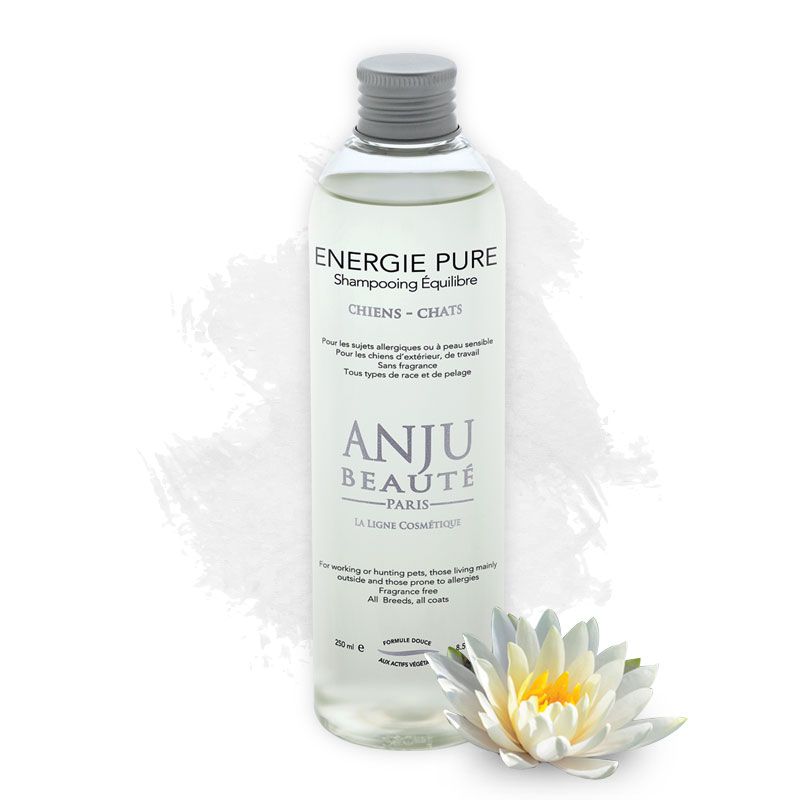 Shampoo Energie Pure