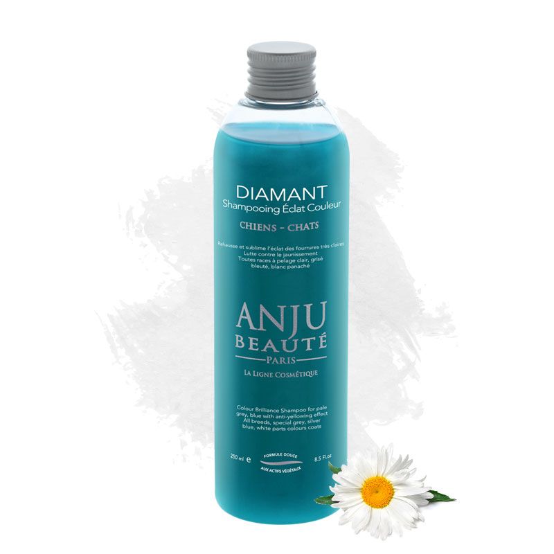 Shampoo Diamant