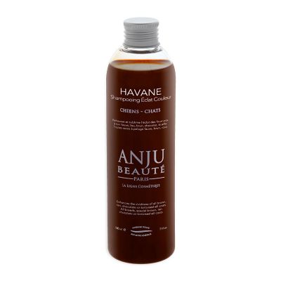 Shampoo Havane 1