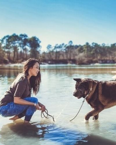 Le métier de Pet Influencer, by May dog momager de Malcolm The Akita